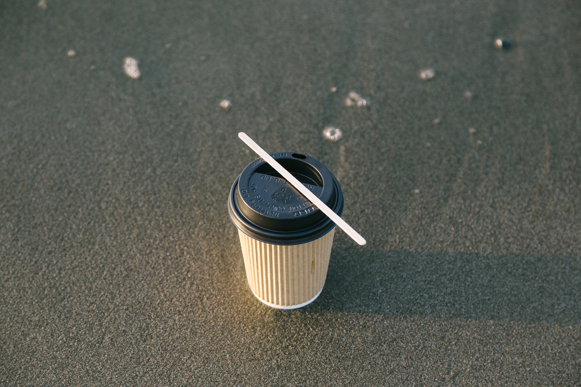 5 dingen om op te letten bij het kopen van biologisch afbreekbare koffiekopjes